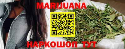 сатива Моздок