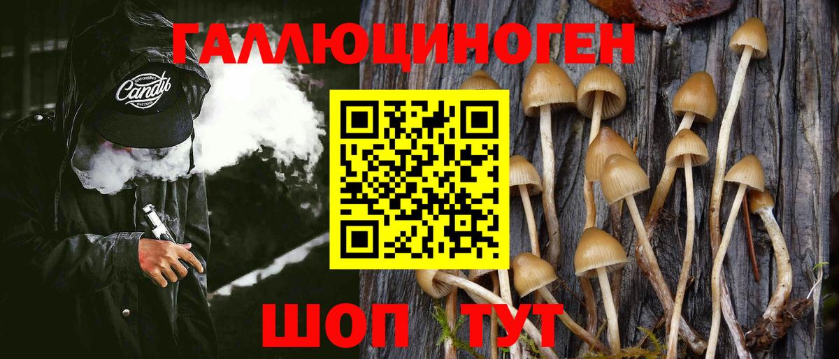 Галлюциногенные грибы MAGIC MUSHROOMS Южноуральск