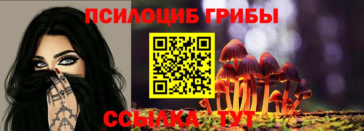 Галлюциногенные грибы Psilocybe  Вход с VPN  Южноуральск 
